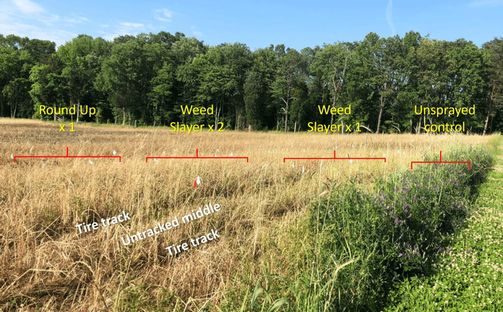 field showing burndown herbicide treatments