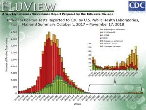 This chart shows stacked bars displaying the number of positive tests colored by the type of influenza virus detected. 