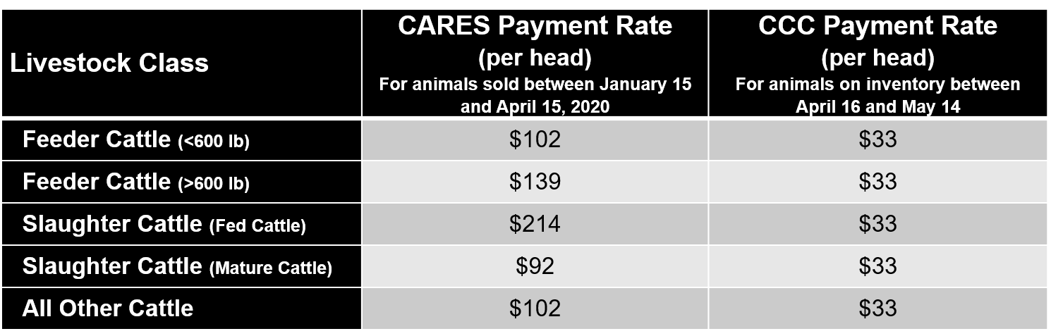 CFAP Payment Rates for Different Cattle Classes.